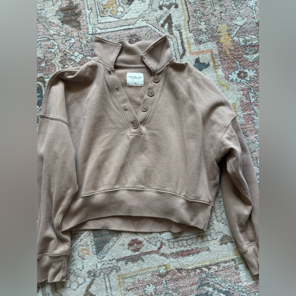 Abercrombie & Fitch (A&F) Johnny Collar Button-up Sweatshirt (651295113)
